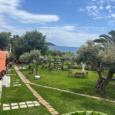 Angeliki Beach Hotel Мегали Амос Екстериор снимка